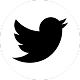 twitter-icon