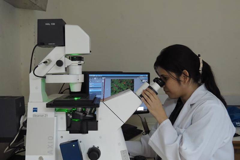 Students studying outdoors