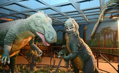 Hon'ble Rear Admiral Dhiren Vig